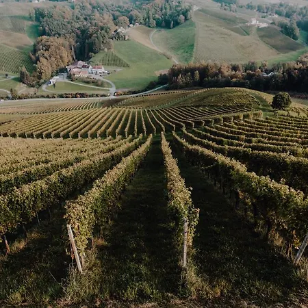 Winzerhaus Am Gamlitzberg Apartament