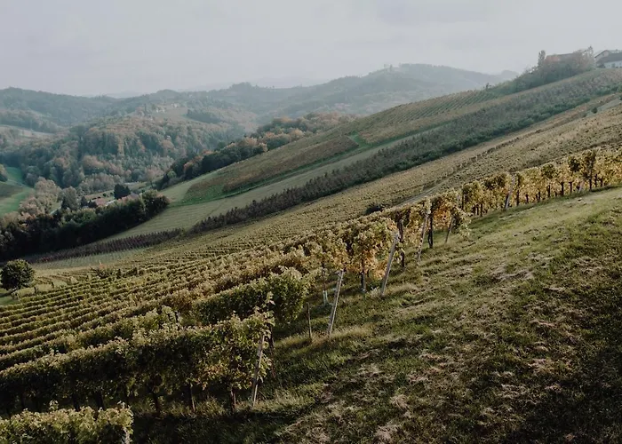 Winzerhaus Am Gamlitzberg شقة *
