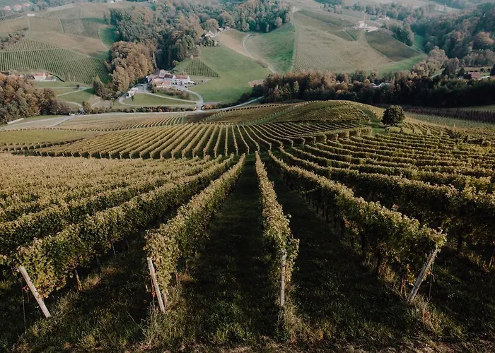 Winzerhaus Am Gamlitzberg شقة