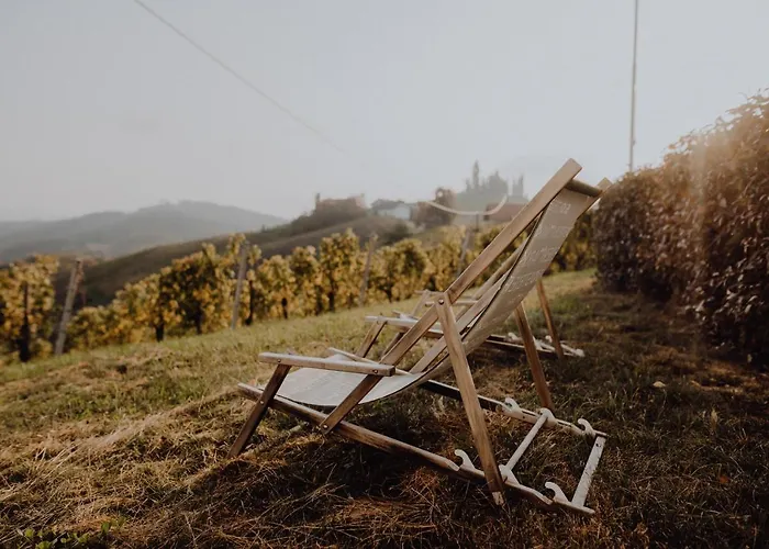 Winzerhaus Am Gamlitzberg شقة